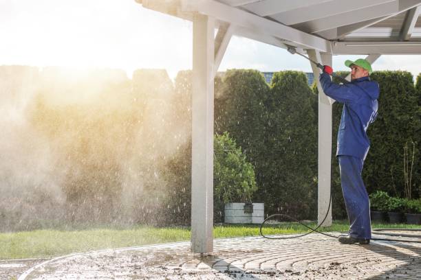 Best Restaurant Pressure Washing  in Jenison, MI