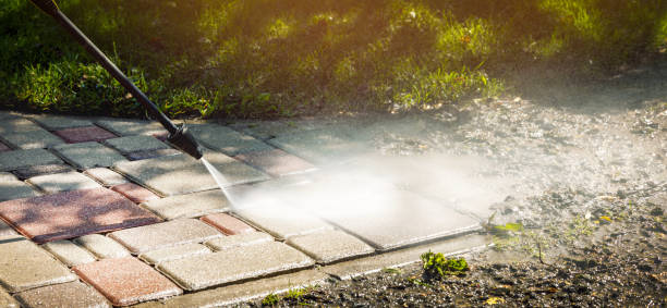 Best Gutter Cleaning  in Jenison, MI